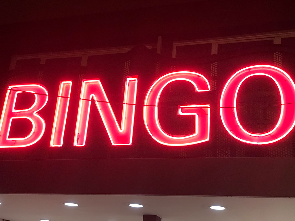 bingo bingo