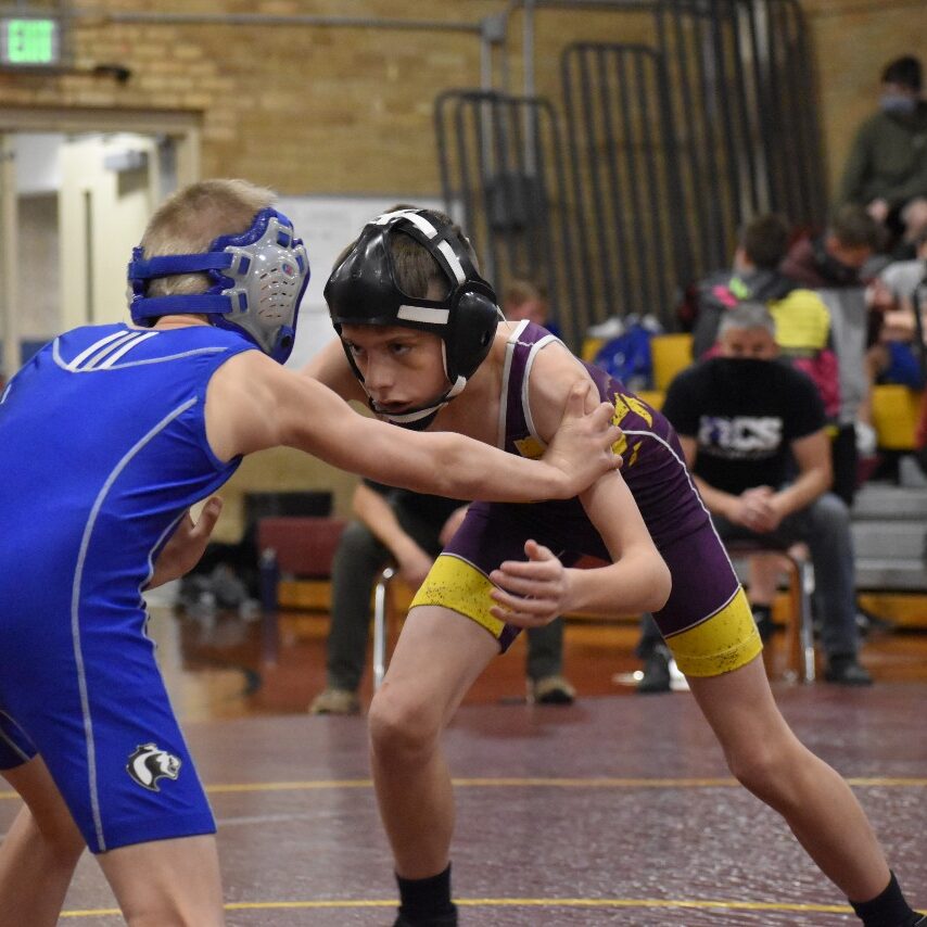wrestling wrestling